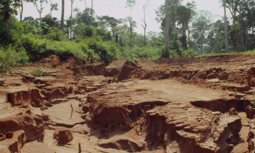 deforestation impacts soil erosion