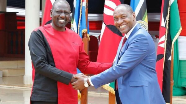 260203271 382604536943206 1703435099814518367 n